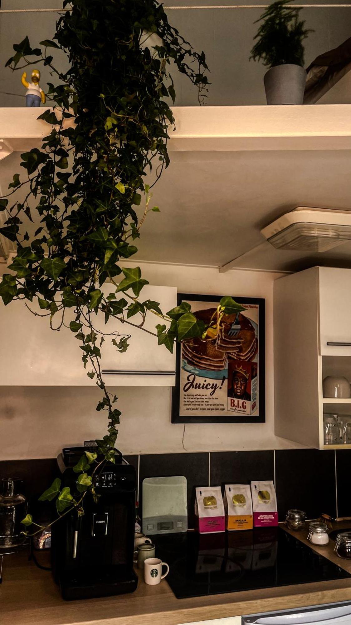 Loft Design, Proximite Apartment *