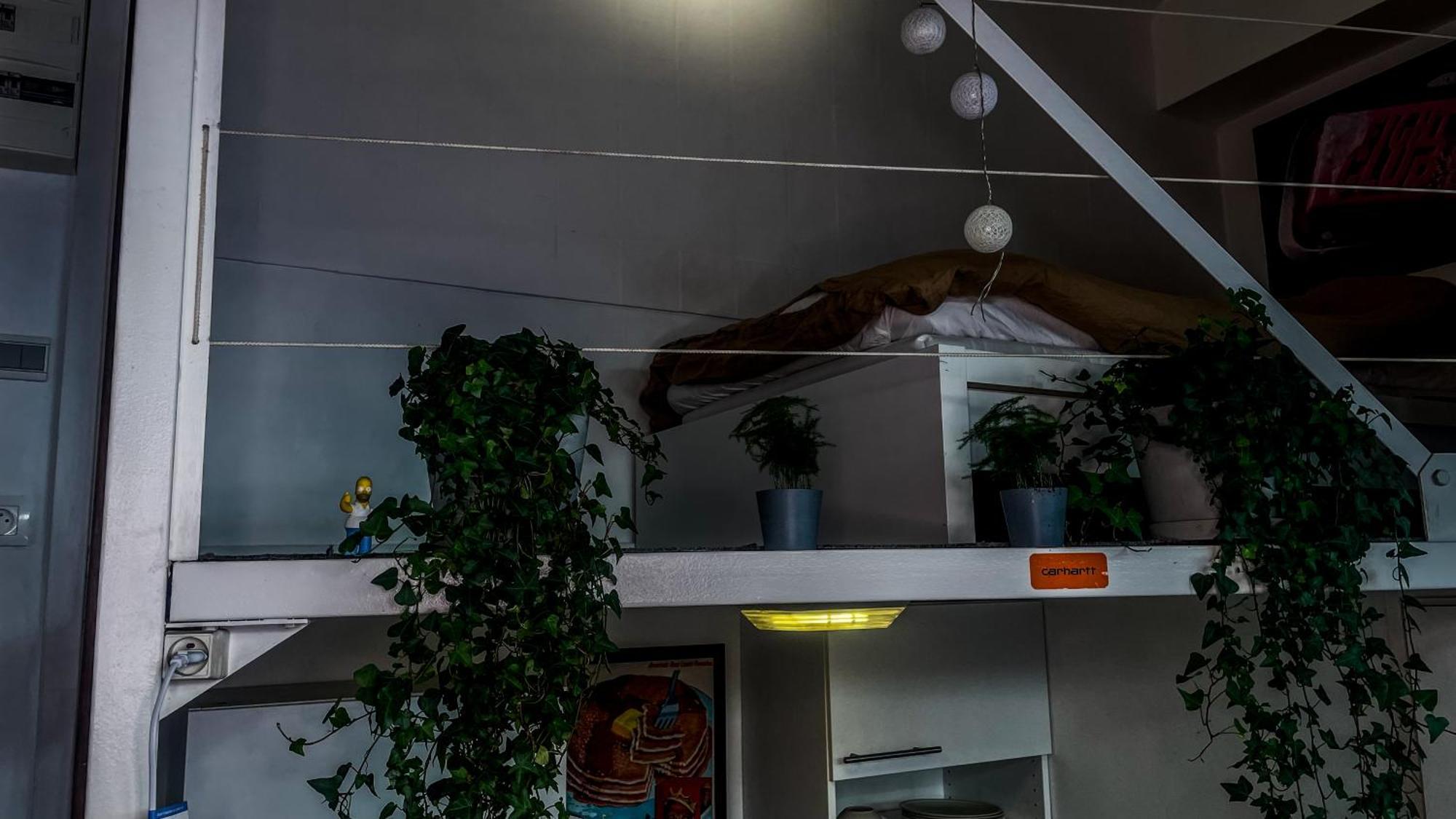 Loft Design, Proximite *